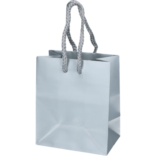 DELUXEKASSE SILVER (10X6,5X12 cm)