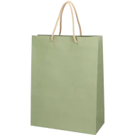 DELUXEKASSE GRÖN (22X10X29 cm)